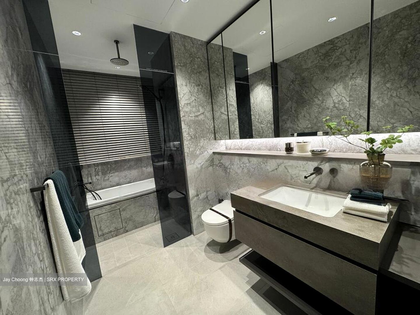 Zion Road (D3), Condominium #464272931